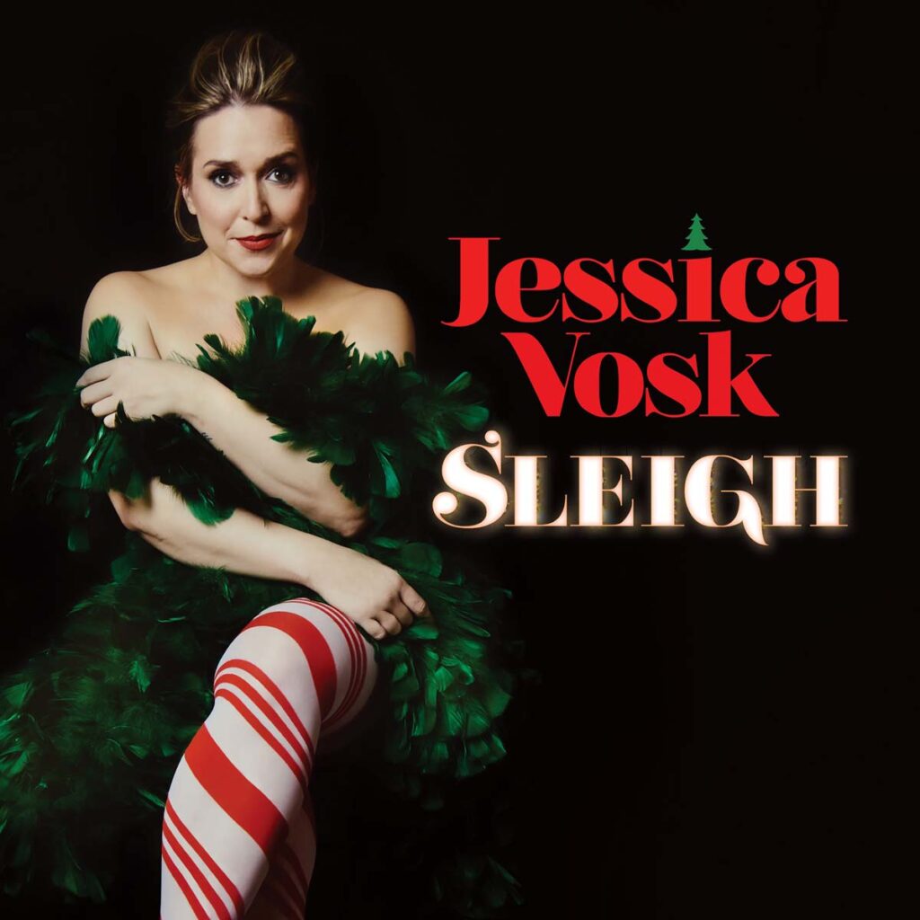 Sleigh Cover